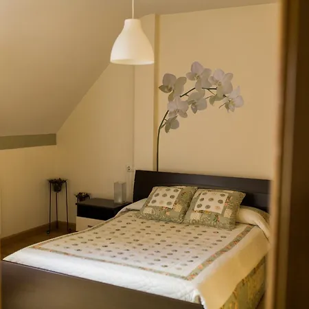 Aticos La Aliseda By Valdesierra Béjar