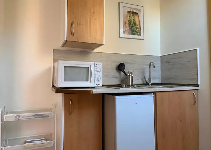 Aticos La Aliseda By Valdesierra 아파트 베하르